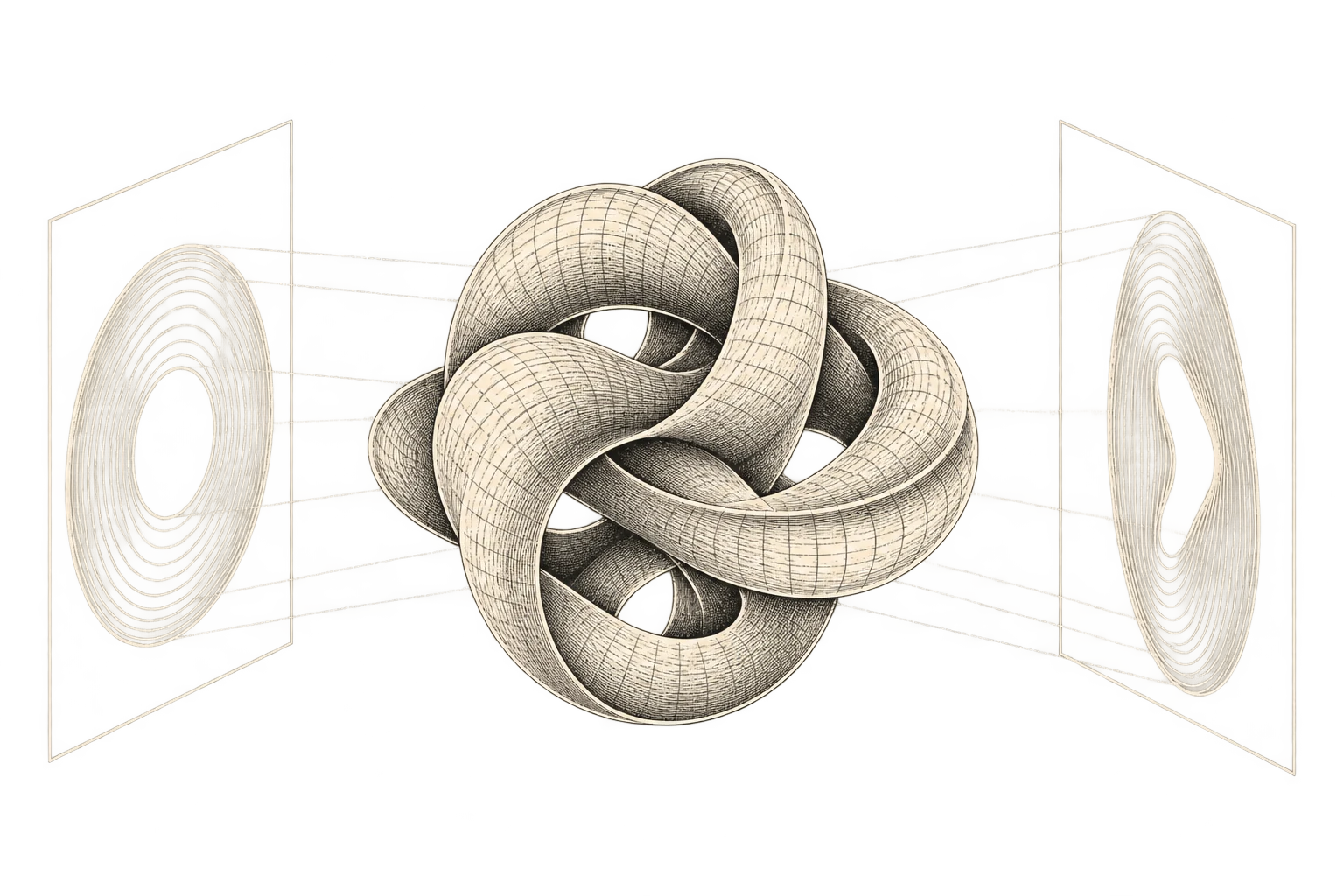 A knotted three-dimensional surface produces different contour projections on two observation planes.